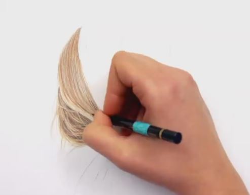 Watch Be Mesmerised With Dutch Artist S Realistic Drawings South Coast Sun